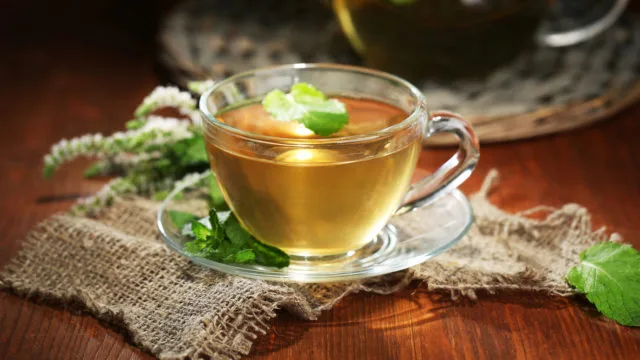 wellhealthorganic.com: 5-herbal-teas-you-can-consume-to-get-relief-from-bloating-and-gas