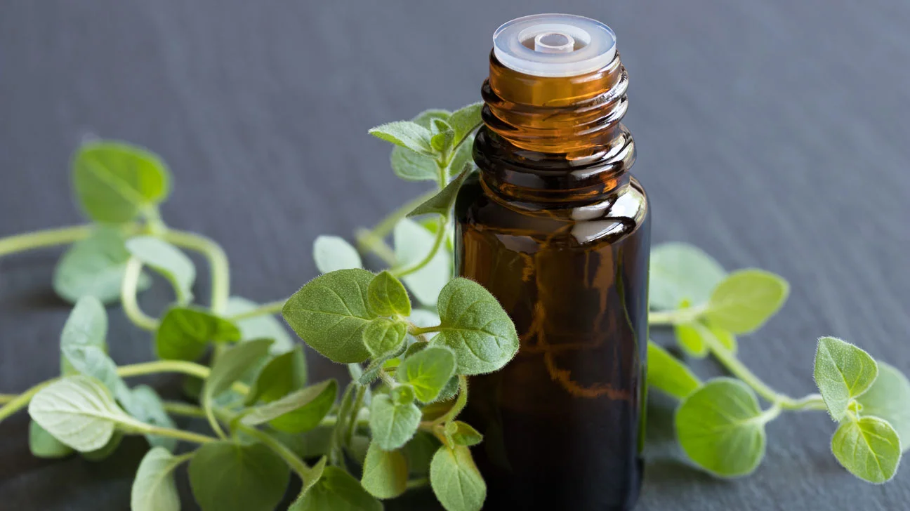 wellhealthorganic.com: health-benefits-and-side-effects-of-oil-of-oregano